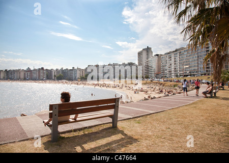 Playa Pocitos, Stadtstrand, Montevideo, Uruguay. Stockfoto