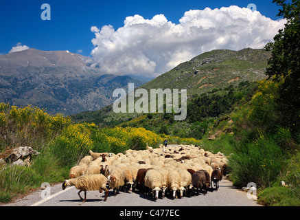 Traditionellen täglichen Leben Szene aus dem Inland der Insel Kreta. Im Hintergrund Psiloritis Gebirge. Amari Grafschaft, Rethymno. Stockfoto