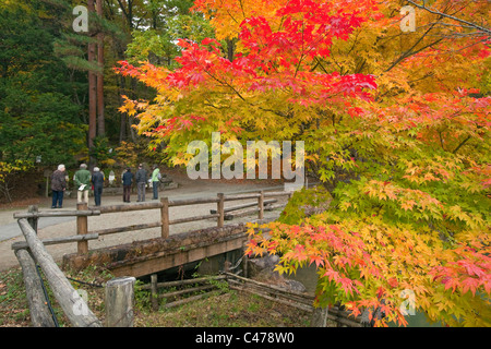 Besucher des Hida-keine-Sato Folk Village Statuen inmitten Herbstlaub, Takayama, Gifu, Japan, Asien zu betrachten. Stockfoto