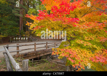 Im Hida-keine-Sato Folk Village, Momiji (japanischer Ahorn) Farbwechsel mit Statuen im Hintergrund, Takayama, Gifu, Japan, Asien. Stockfoto