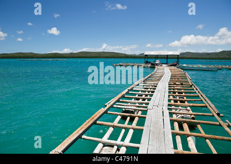 Anlegestelle in Kazu Perlen.  Freitag Island, Torres-Strait-Inseln, Queensland, Australien Stockfoto