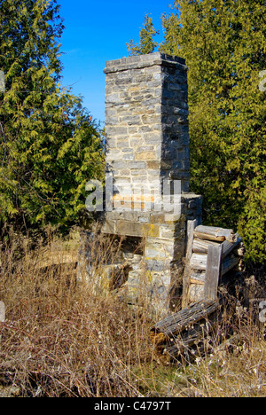 Ein Kamin und Schornstein bilden Teil der Ruinen des 19. Jahrhunderts Blockhütte im Wald überwachsen. Stockfoto