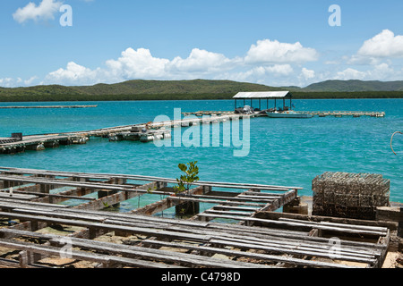 Anlegestelle in Kazu Perlen.  Freitag Island, Torres-Strait-Inseln, Queensland, Australien Stockfoto