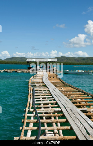 Anlegestelle in Kazu Perlen.  Freitag Island, Torres-Strait-Inseln, Queensland, Australien Stockfoto