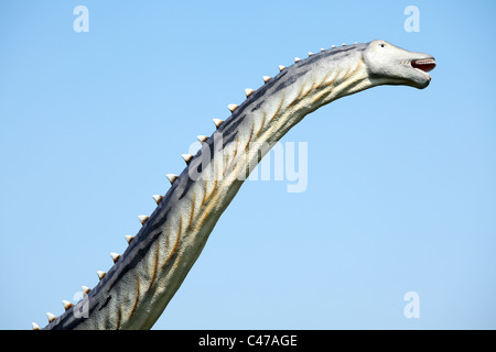 Dinosaurier - Diplodocus gegen blauen Himmel Stockfoto