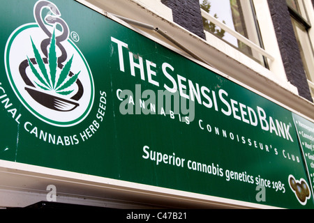Die Sensi-Marihuana-Samenbank in Amsterdam Stockfoto