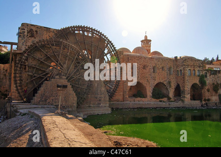 Noria (Maschine für anhebende Wasser) von Hama am Fluss Orontes Stockfoto