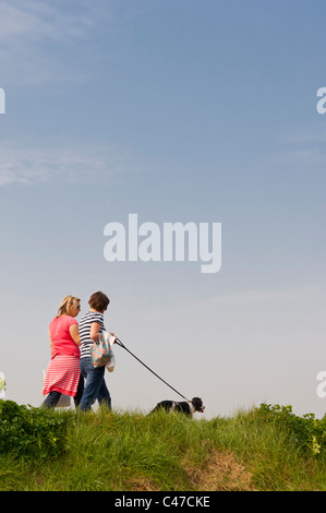 Zwei Frauen in ihren frühen dreißiger Jahren zu Fuß ein English Springer Spaniel im Vereinigten Königreich Stockfoto