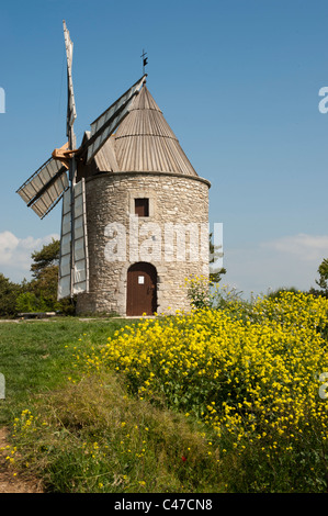 Windmühle in den Luberon Gegend Frankreichs während des Frühlings mit Wildblumen, die es umgibt. Stockfoto