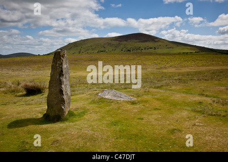 Alten Meg Menhir bei Mitchells Fold Steinkreis in der Nähe von Bischofsburg, Shropshire Stockfoto