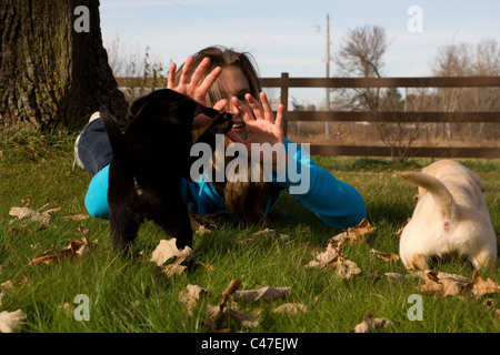 Junge Frau und Labrador Retriever Welpen Stockfoto