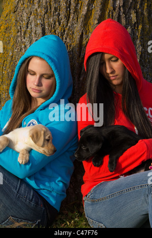 Zwei Teenie-Alter Mädchen halten Labrador Retriever Welpen Stockfoto