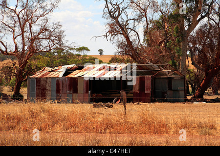 Alteisen Corrigated Schuppen auf Ackerland, Calingiri Western Australia Stockfoto