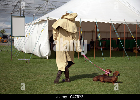 Daschunds and Owner bei schottischen Kennel Club show Stockfoto