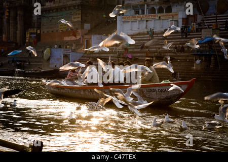 Indische Touristenboot Reiten am heiligen Ganges river(Ganges) und Möwen fliegen in Leuchten Licht, Varanasi, Indien Stockfoto