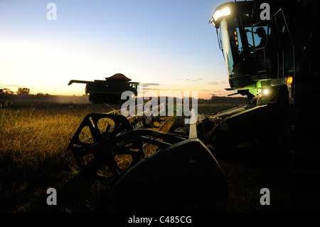 URUGUAY Bella Uniòn, 2100 Hektar großen Farm in der Nähe Fluss Uruguay, Reisernte mit John Deere Mähdrescher Stockfoto