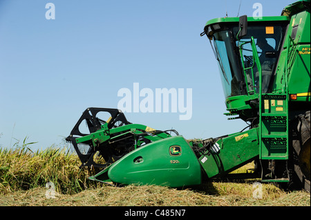 URUGUAY Bella Uniòn, 2100 Hektar großen Farm in der Nähe Fluss Uruguay, Reisernte mit John Deere Mähdrescher Stockfoto