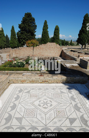 Ein Mosaik-Fußboden mit antiken römischen Stadt Italica in der Nähe von Sevilla, Spanien. Stockfoto