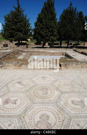 Die Mosaik-Fußboden im Haus des Planetariums im antiken römischen Stadt Italica in der Nähe von Sevilla, Spanien. Stockfoto