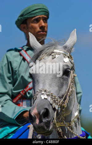 Arabische Royal Cavalry of Oman im original-Kostüm auf arabische Pferd während einer öffentlichen zeigen in München, Deutschland Stockfoto