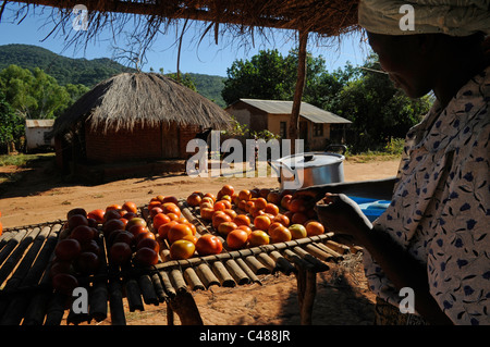 Eine Frau, die Tomaten in einem Stall in einem abgelegenen Dorf Malawi Afrika zu verkaufen Stockfoto