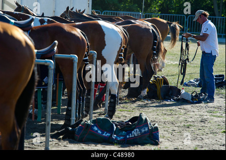 Minze-Polo in The Park, der führenden Outdoor-Polo und Lifestyle-Event im Zentrum von London. Ein Turnier für sechs internationale Teams. Stockfoto