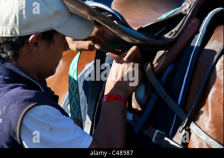 Minze-Polo in The Park, der führenden Outdoor-Polo und Lifestyle-Event im Zentrum von London. Ein Turnier für sechs internationale Teams. Stockfoto