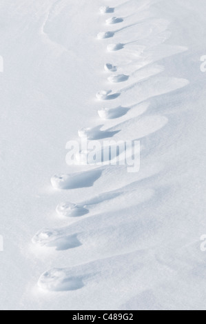 Durch Winderosion Erzeugte Strukturen Im Schnee, Norrbotten, Lappland, Schweden; Maerz 2010 Stockfoto