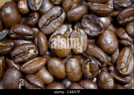Eine Nahaufnahme der Kaffeebohnen. Stockfoto