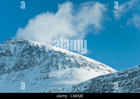 Wurde Im Tal Stuor Reaiddávággi, Kebnekaisefjaell, Norrbotten, Lappland, Schweden Stockfoto