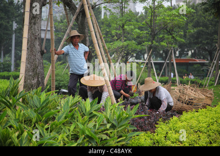 Menschen, die Arbeiten im Garten, Guangzhou, China Stockfoto