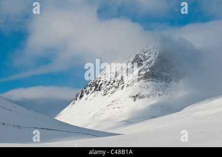 Wurde Im Tal Stuor Reaiddavaggi, Kebnekaisefjaell, Norrbotten, Lappland, Schweden Stockfoto