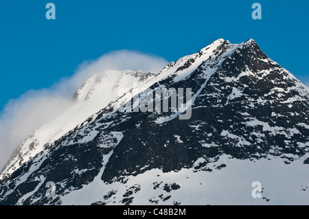 Wurde Im Tal Stuor Reaiddavaggi, Kebnekaisefjaell, Norrbotten, Lappland, Schweden Stockfoto