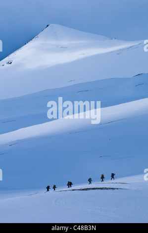 Skifahrer Mit Rucksaecken Im Tal Stuor Reaiddavaggi, Kebnekaisefjaell, Norrbotten, Lappland, Schweden Stockfoto