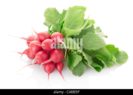 Rettich Stockfoto