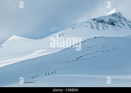 Skifahrer Mit Rucksaecken Im Tal Stuor Reaiddavaggi, Kebnekaisefjaell, Norrbotten, Lappland, Schweden Stockfoto