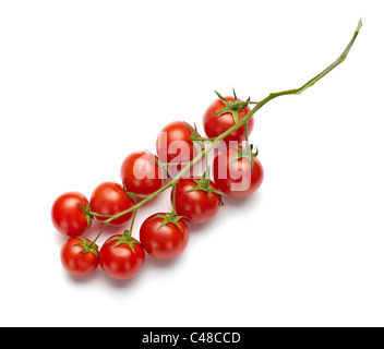Nahaufnahme von Tomaten Zweig Stockfoto