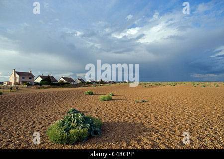 Shingle Street, Suffolk, Großbritannien. Stockfoto