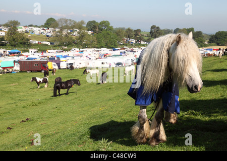 Appleby Horse Fair, Appleby In Westmorland, Cumbria, England, Großbritannien Stockfoto