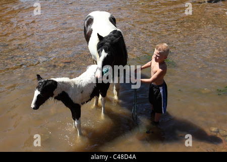 Ein junger Zigeunerjunge mit Pferd und Fohlen im Fluss Eden in Appleby Horse Fair, Appleby In Westmorland, Cumbria, England, U.K Stockfoto