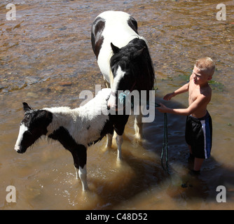 Ein junger Zigeunerjunge mit Pferd und Fohlen im Fluss Eden in Appleby Horse Fair, Appleby In Westmorland, Cumbria, England, U.K Stockfoto