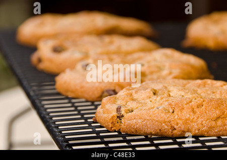Chocolate Chip Cookies auf einem schwarzen Metall Rack-Kühlung Stockfoto