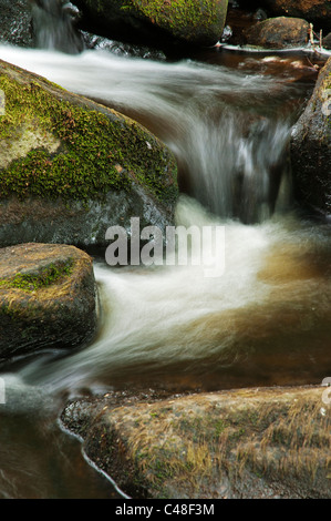 Wirbelnden Wasser Pool Burbage Brook, Padley Schlucht, Derbyshire, The Peak District National Park, Juni 2011. Stockfoto