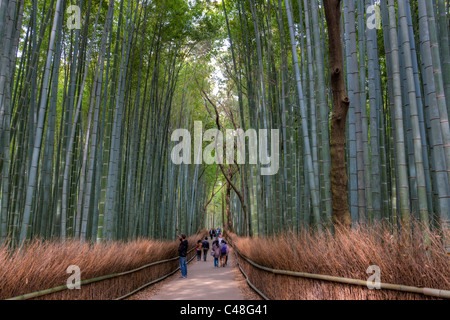 Menschen, die auf einem Pfad durch den grünen Bambushain gehen, der zu einer Touristenattraktion für Japaner und Touristen in Arashiyama, Kyoto, geworden ist. Stockfoto