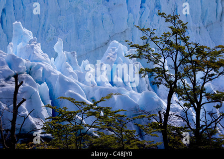 Foto von Perito Moreno in Patagonien Argentinien Stockfoto