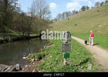 Eine Frau, die zu ihrem Hund am Fischteich Bank National Trust, Wolfscote Dale, Staffordshire, Peak District National Park Foto entnommen aus öffentlichen Fußweg Stockfoto