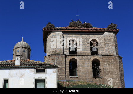 [Weißstorch] [Ciconia Ciconia] Verschachtelung Kolonie am Turm der Kirche in Manilla, Castilla y Leon, Spanien Stockfoto