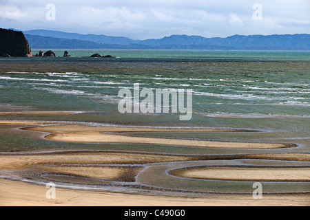 Wainui Bay bei Ebbe, Abel Tasman Nat Park, Neuseeland Stockfoto