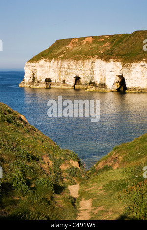 Kreidefelsen Sie bei Thornwick Bay Flamborough Head East Yorkshire England Reiten Stockfoto