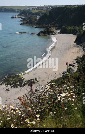 Blick vom SW Küste Fussweg von der Buchten und der Küste nördlich von Mevagissey Stockfoto